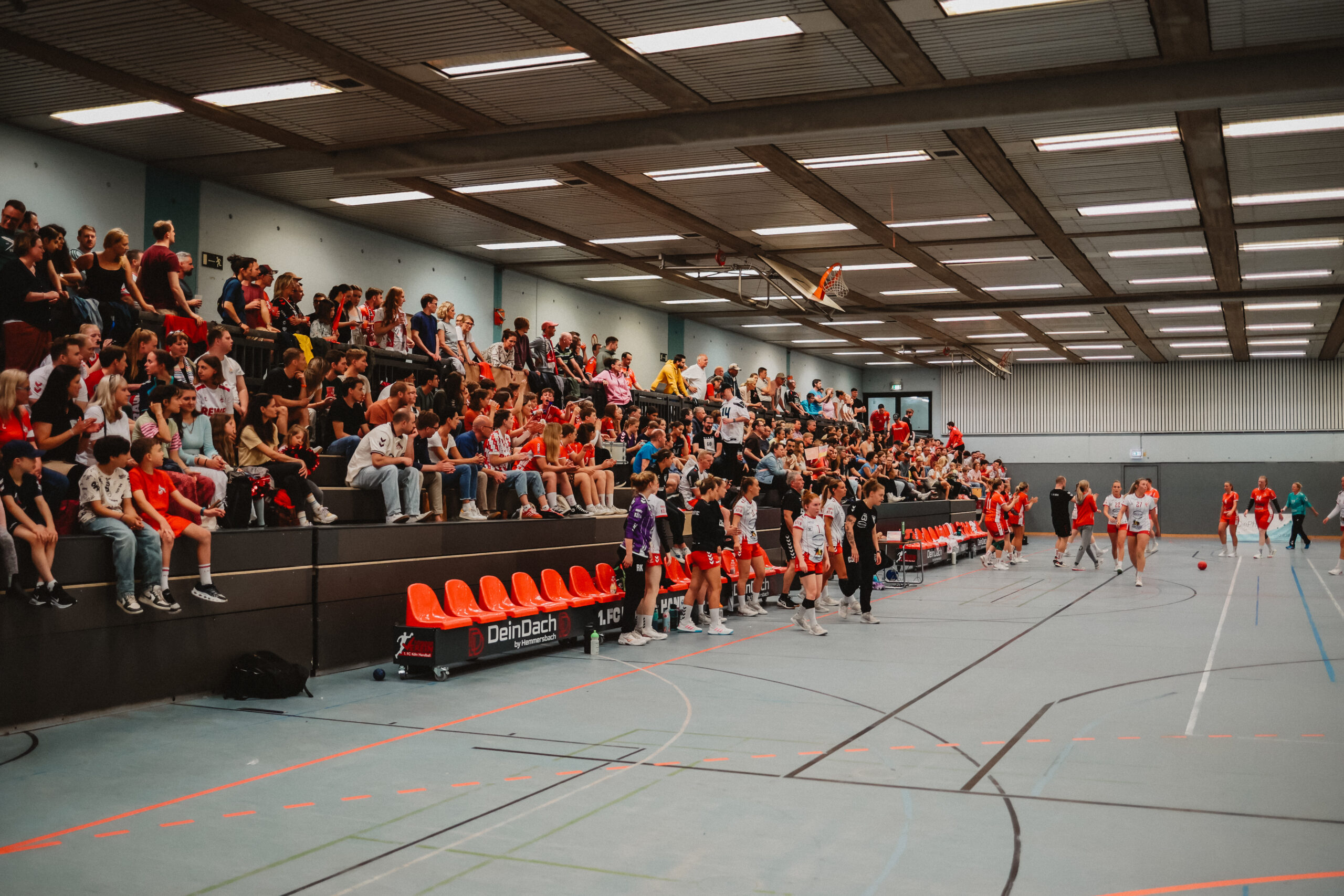 Volle Tribüne bei der Handball Saisoneröffnung